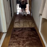 一目散におばあちゃんの元へ！！