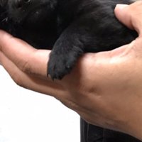 出会った