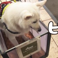 動かしたらビビりまくり！