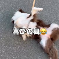 喜びの舞をするりっかちゃん