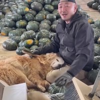 癒し担当のミントくんでした！