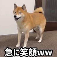 笑顔で立っている犬