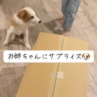 とっておきのサプライズ