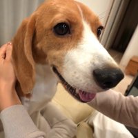 幸せそうな笑顔♪
