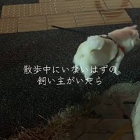 気付かずにUターン！