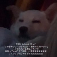5分でスヤスヤ寝ちゃった♡