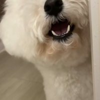 「もう！閉めないで！！」