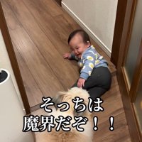 赤ちゃんを守る小太郎くん7