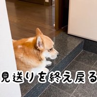 寂しくてしょんぼり