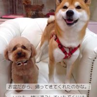 並んで座る2匹