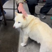 会社の忘年会に参加