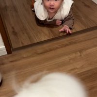 あっけにとられる赤ちゃん