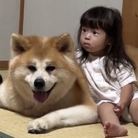 仲良く並ぶ犬と子ども