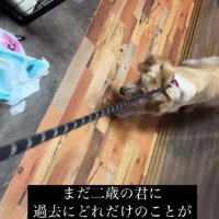 全てが怖くて仕方ない