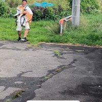 ぶん太くんとパパさんのお散歩3