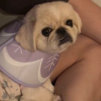 不服そうなお顔も可愛い（笑）