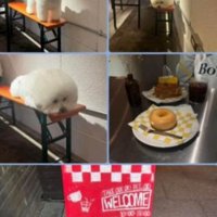 カフェで撮影した写真