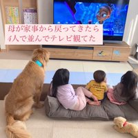 頼もしいラジャーくんに感嘆