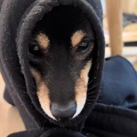 ちょっぴり反省！？