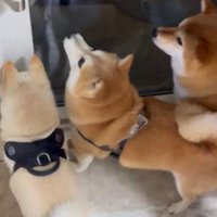 ドア前