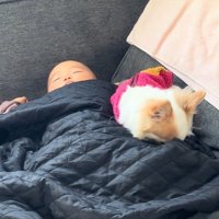 仲良く寄り添う2人