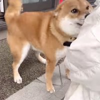 全身で喜びを表現