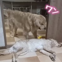 「どいてー！」