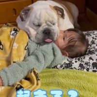 女の子に話しかける飼い主