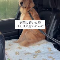 怖がりなぱっちくん