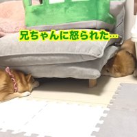 完全に拗ねちゃった！？