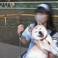 エミーちゃんが教えてくれた愛