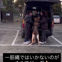 一筋縄ではいきません♪