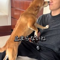 止まらない歓迎