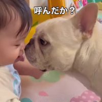 仲睦まじい2人でした