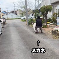 引っ張られる飼い主と逃げようとする犬