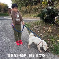 少しずつ慣れて…