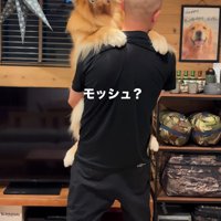 静かに男性に抱っこされる犬