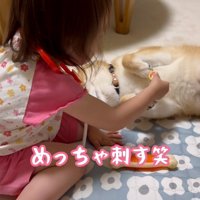 何度も刺す娘さん