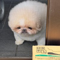 「寝ている間に終わってしまった」