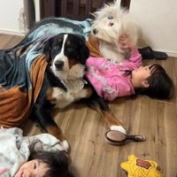 みんな仲良しで尊い！