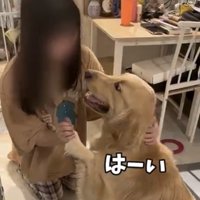 友人を見上げながら前足を差し出す麹くん