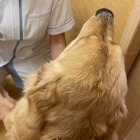 看護師さんにご挨拶