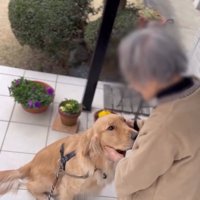 撫でられるりく君