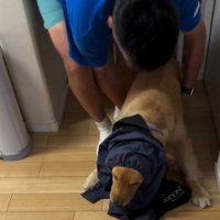 アリスちゃんを立ち上がらせる飼い主さん