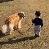 現在のオレオくんと弟くん2