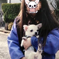 外で人に抱かれる犬