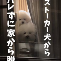 バレないで家を出られるか挑戦