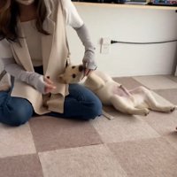 大好きな人との再会を喜ぶ虎丸くん9