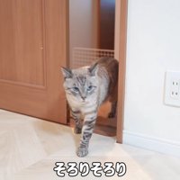 恐る恐るリビングへ