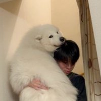 赤ちゃん